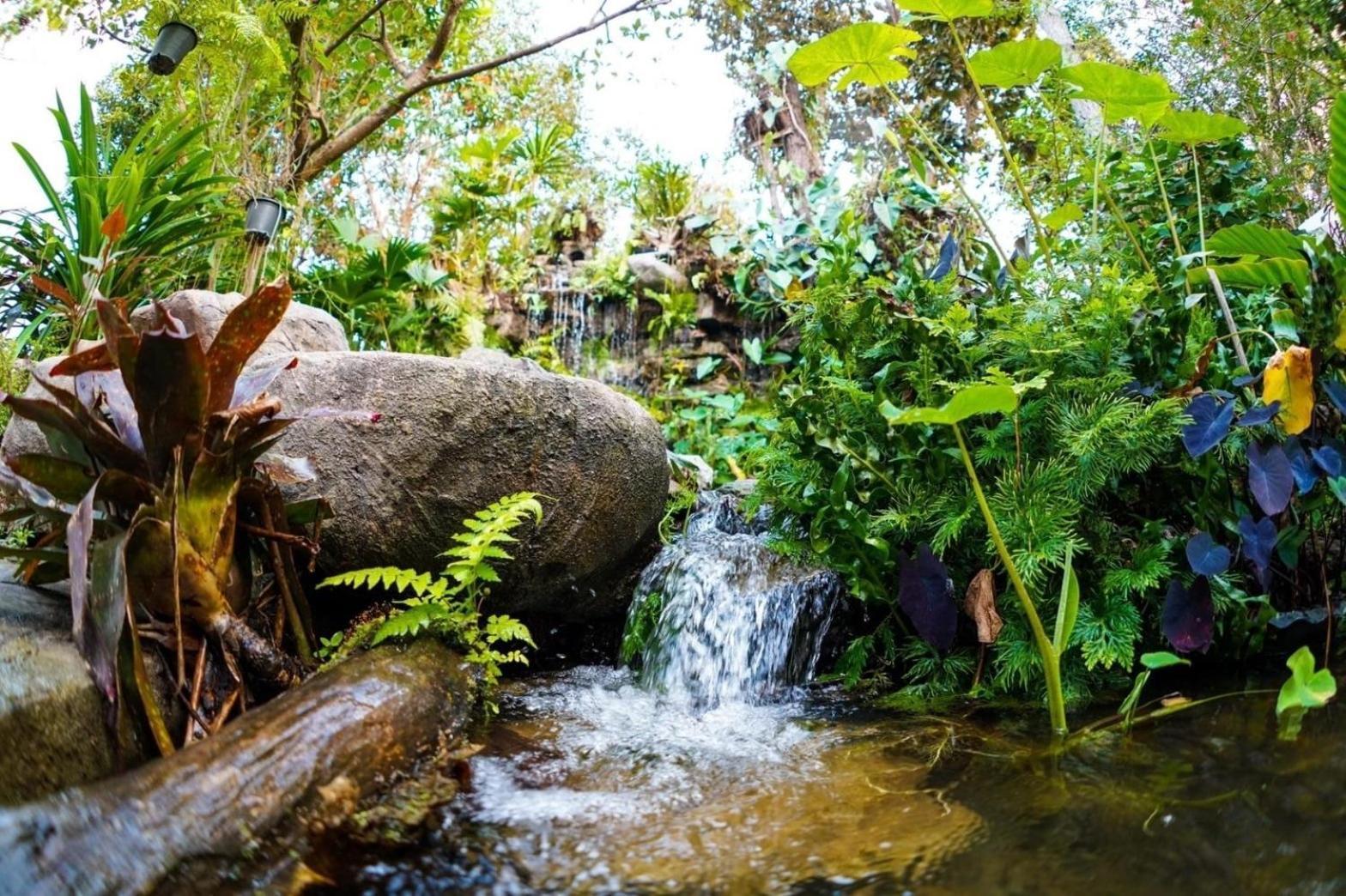 Baan Pingkan Wellness Resort San Kamphaeng Zewnętrze zdjęcie