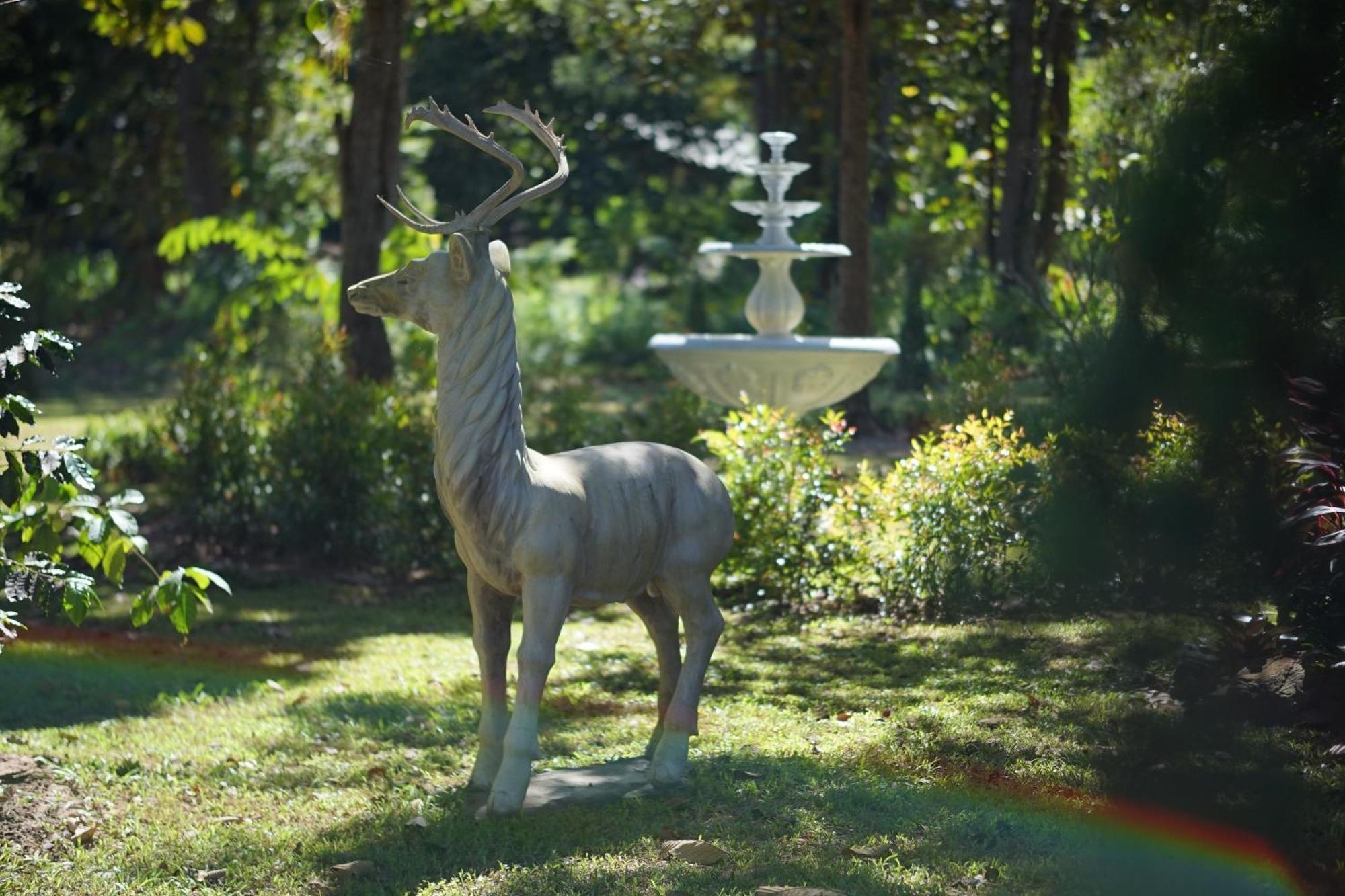 Baan Pingkan Wellness Resort San Kamphaeng Zewnętrze zdjęcie